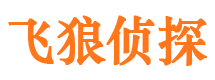 新密市调查取证